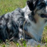 Mable_30._August_2009_0005